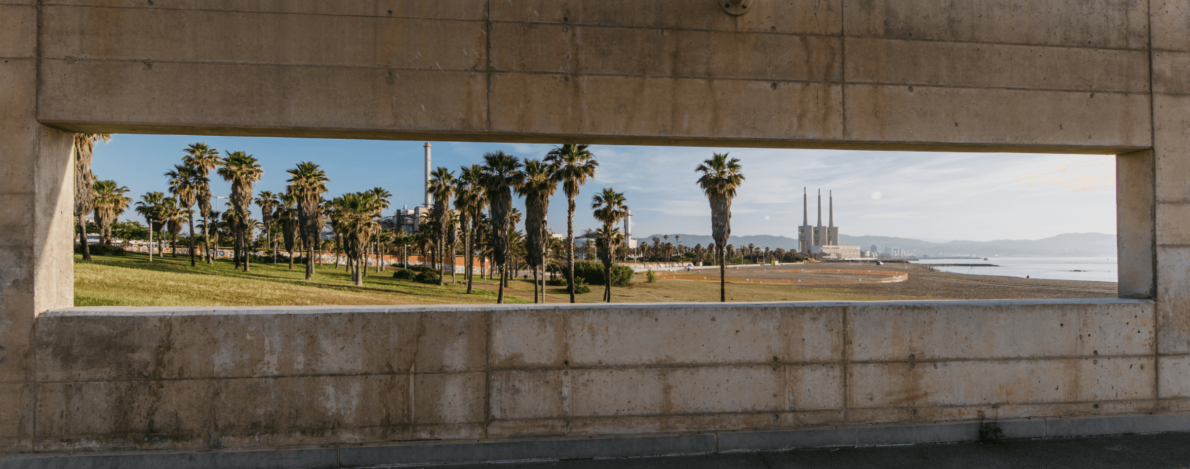 Palmeres i xemeneies industrials vistes des d'un marc