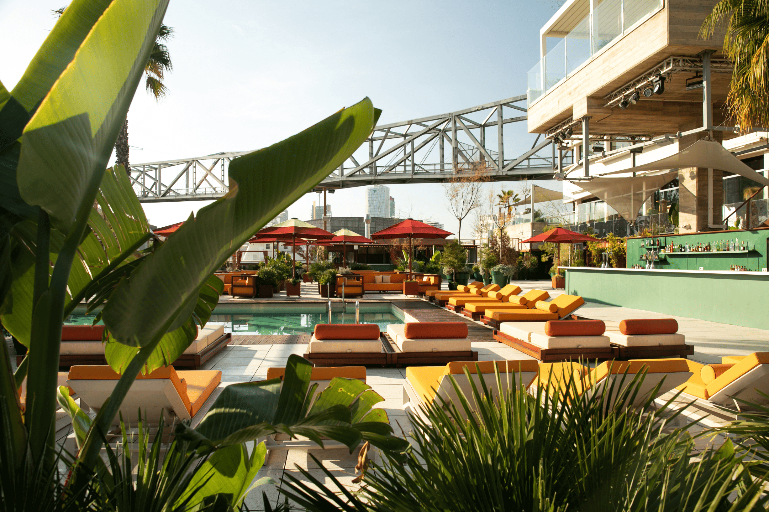 Piscina con tumbonas y palmeras.